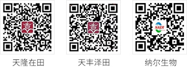 微信公家号