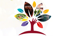 财产规划