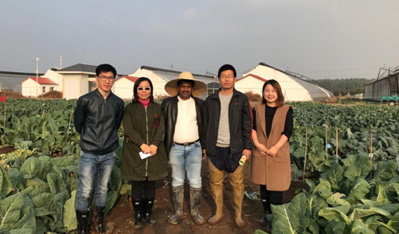 印度蔬菜客户访问海角社区在线
有限公司