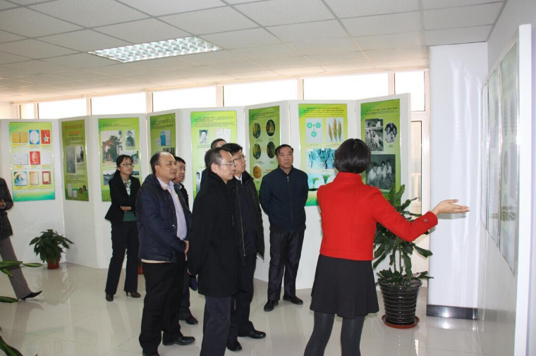 天津市中小海角社区在线发展促进局来天隆公司调研博士后工作